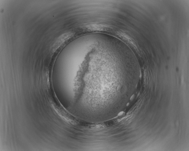 X0000068900398200605081350