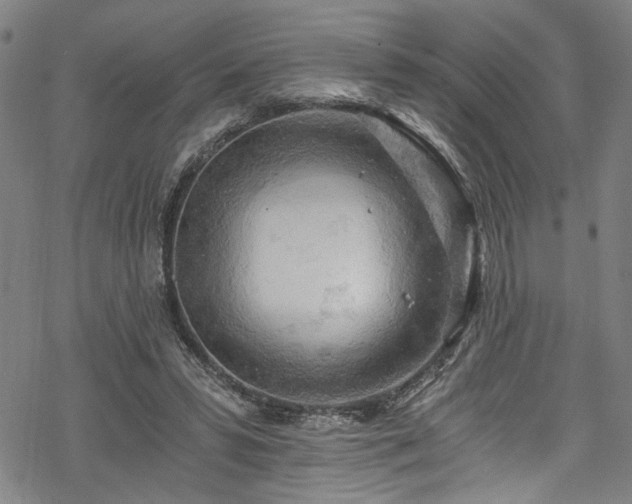 X0000068900399200605081350