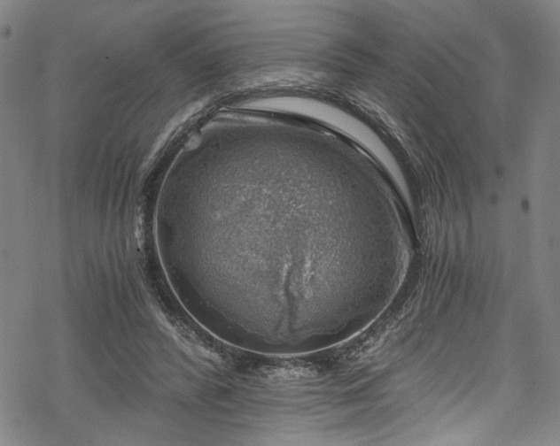 X0000068900400200605081350