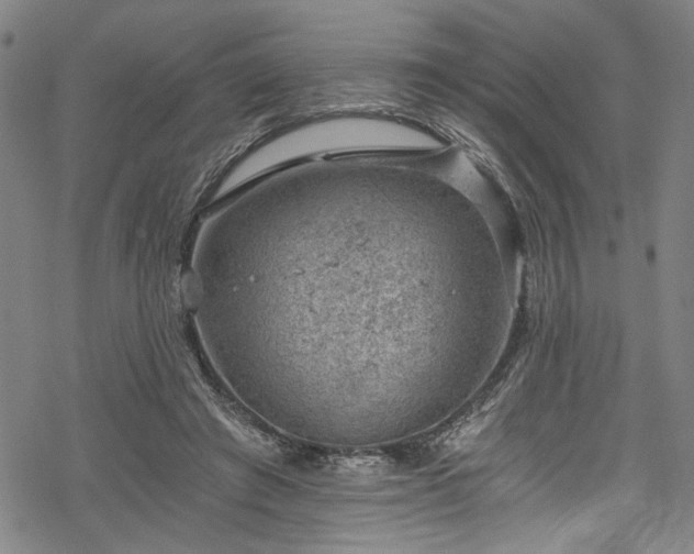 X0000068900401200605081350