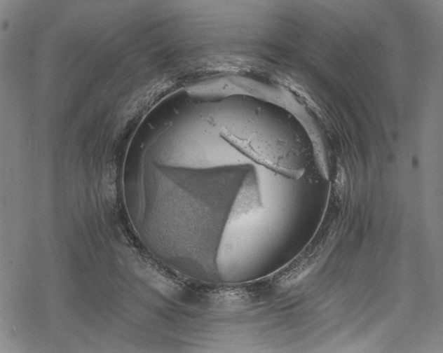 X0000068900402200605081350