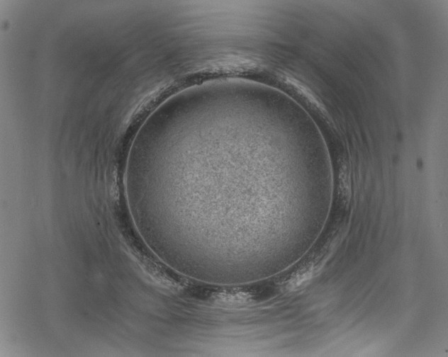 X0000068900403200605081350