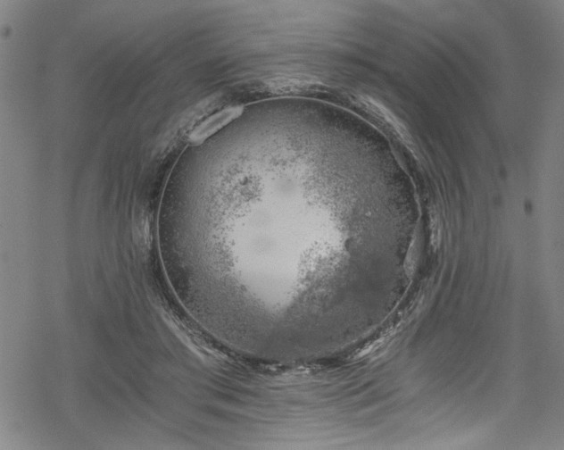 X0000068900405200605081350