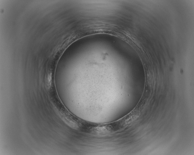 X0000068900406200605081350