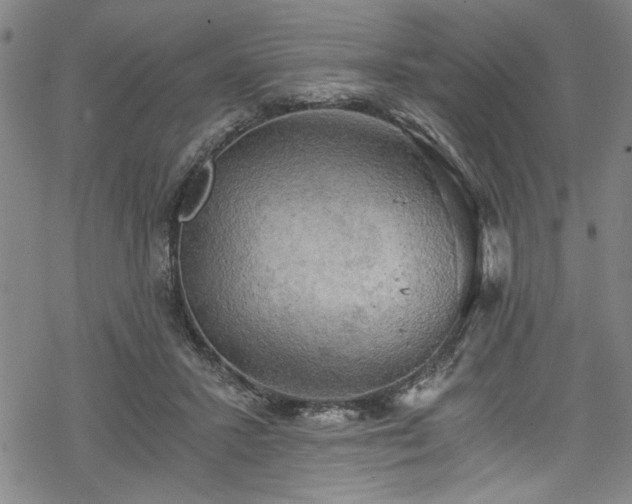 X0000068900407200605081350