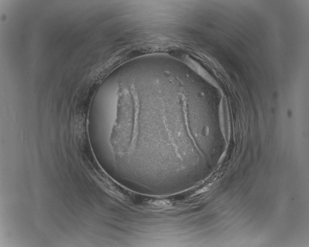 X0000068900409200605081350