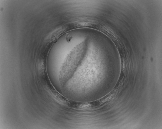 X0000068900410200605081350