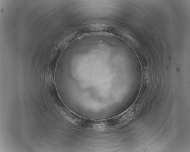 X0000068900411200605081350