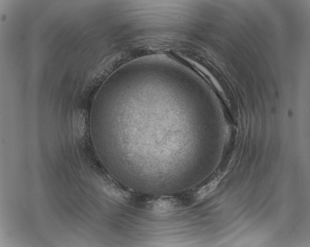 X0000068900412200605081350