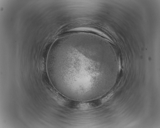 X0000068900413200605081350