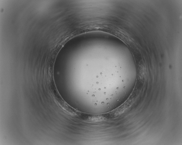 X0000068900414200605081350