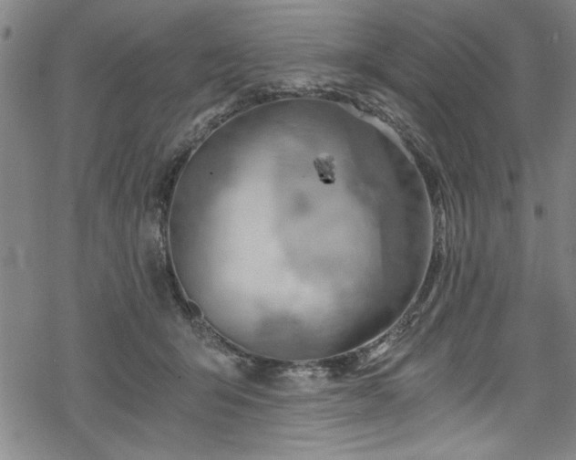 X0000068900415200605081350