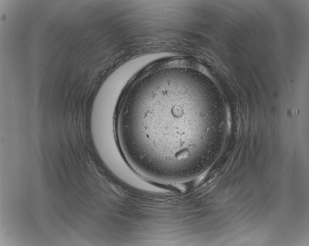 X0000068900416200605081350