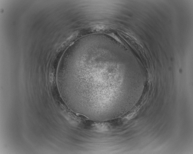 X0000068900417200605081350