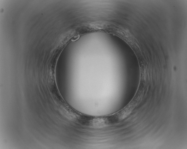 X0000068900418200605081350