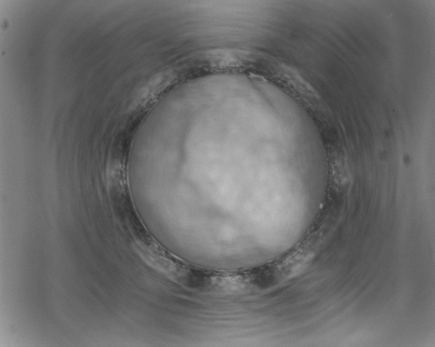 X0000068900419200605081350