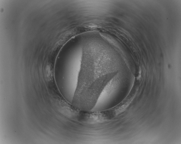 X0000068900420200605081350