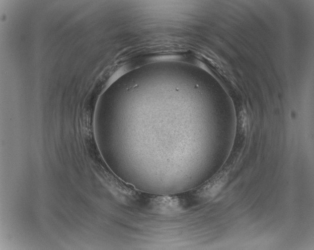 X0000068900421200605081350