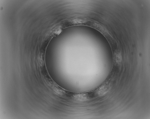 X0000068900422200605081350