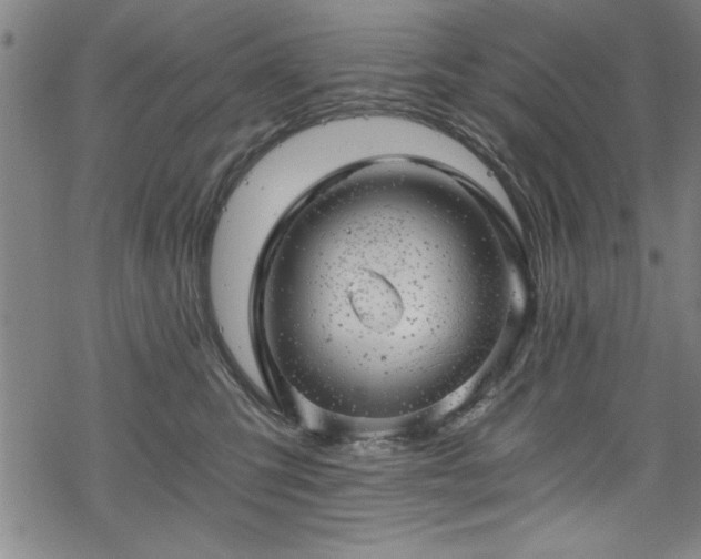 X0000068900423200605081350