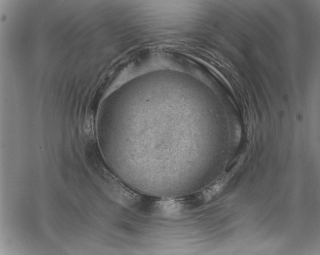 X0000068900425200605081350