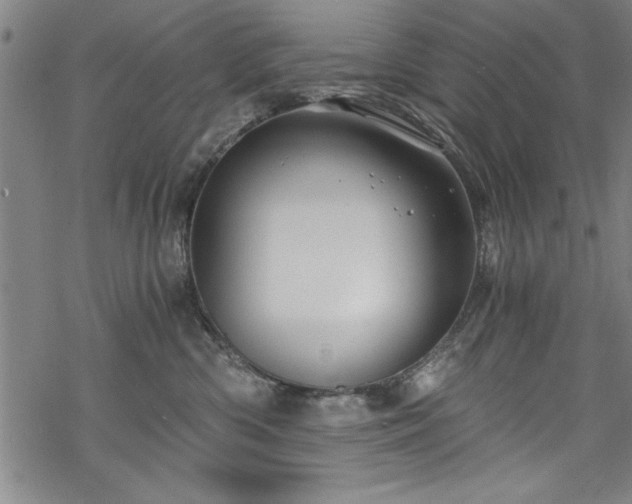 X0000068900426200605081350