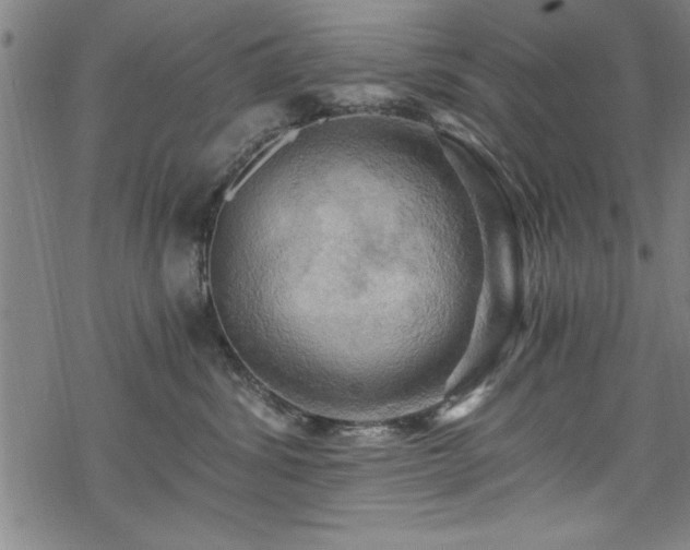 X0000068900428200605081350