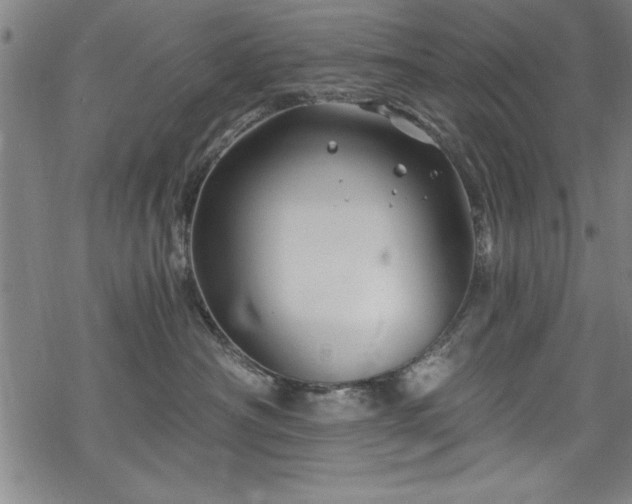 X0000068900430200605081350