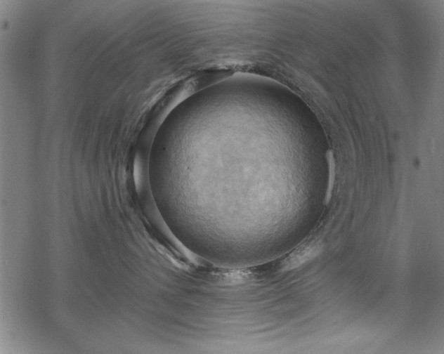 X0000068900432200605081350