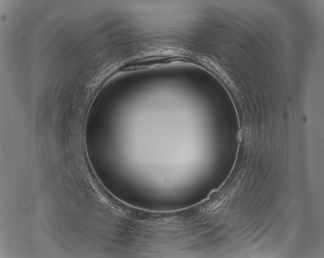 X0000068900433200605081349