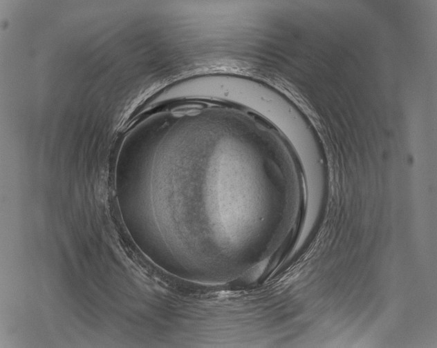 X0000068900434200605081349