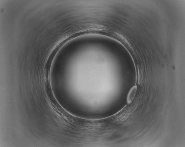 X0000068900435200605081349