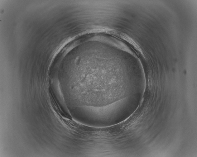 X0000068900436200605081349