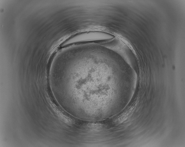 X0000068900437200605081349