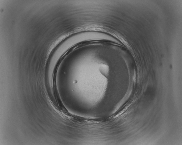 X0000068900438200605081349