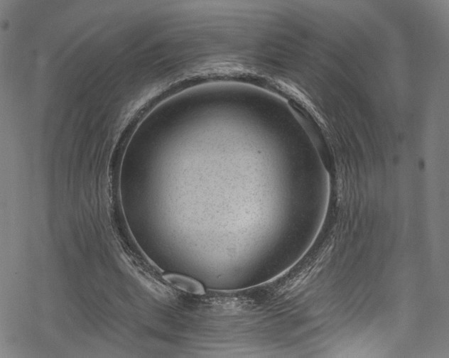 X0000068900439200605081349