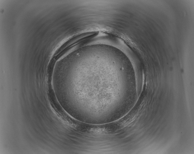 X0000068900440200605081349