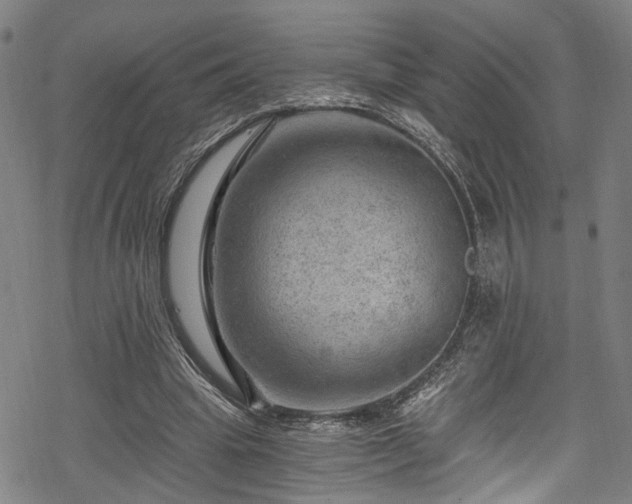 X0000068900441200605081349