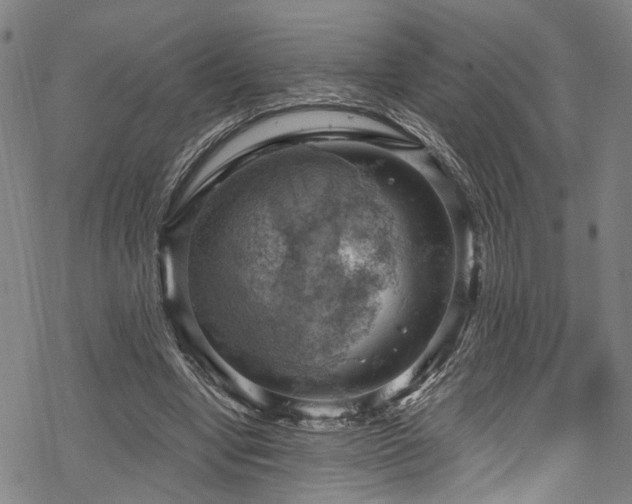 X0000068900442200605081349