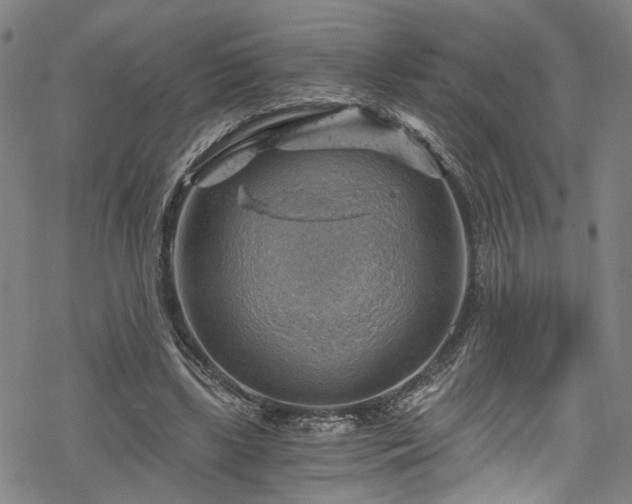 X0000068900443200605081349