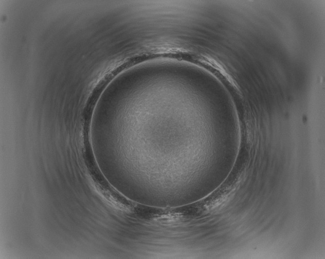 X0000068900447200605081349