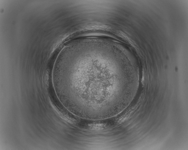 X0000068900448200605081349