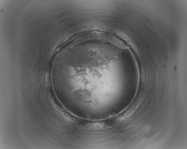 X0000068900449200605081349