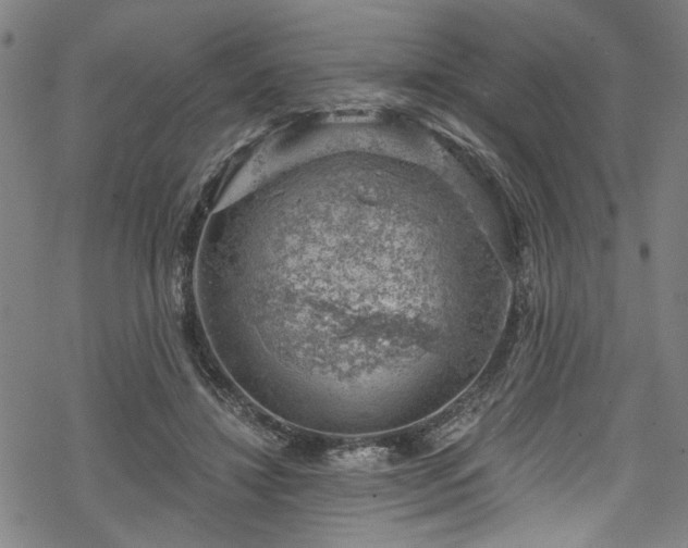 X0000068900452200605081349