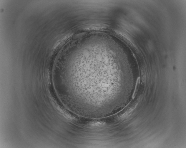 X0000068900453200605081349