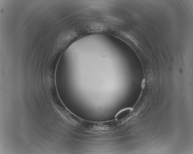 X0000068900455200605081349