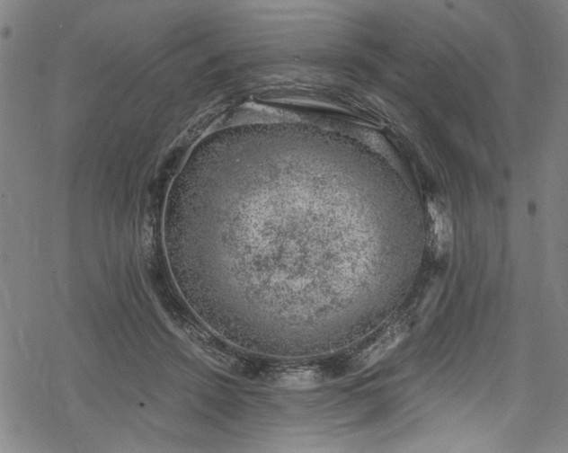 X0000068900456200605081350