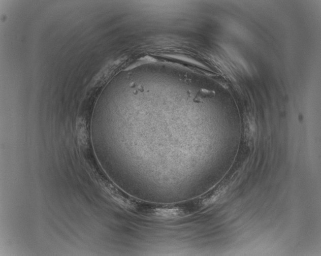 X0000068900457200605081350