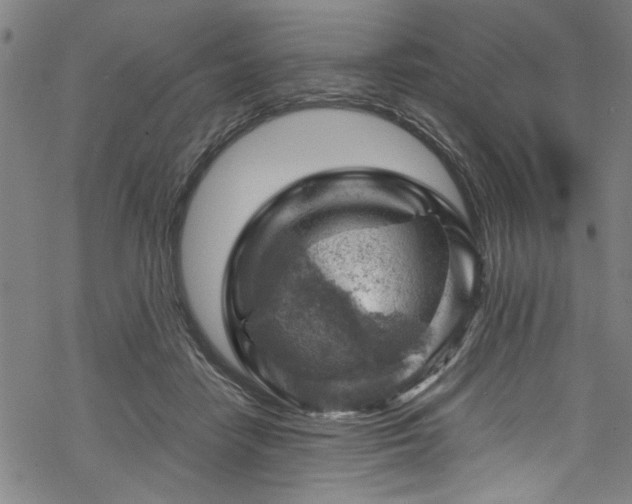 X0000068900458200605081350