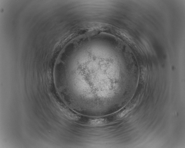 X0000068900461200605081350